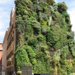 Vertical Gardens by Patrick Blanc