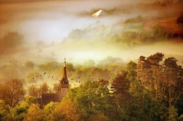 Cornel Pufan _11600_398