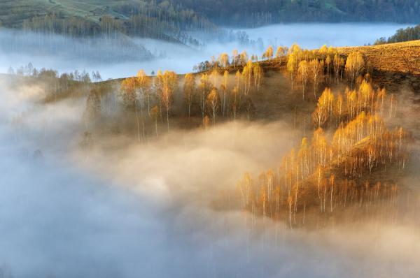 Cornel Pufan _15600_398