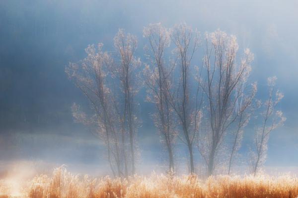 Cornel Pufan _1600_398