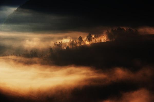 Cornel Pufan _4600_398