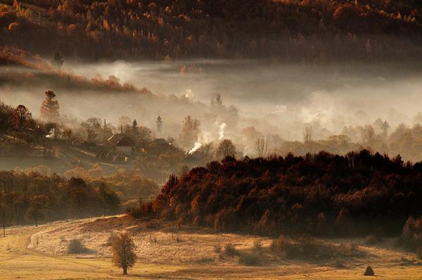 Cornel Pufan _5600_398