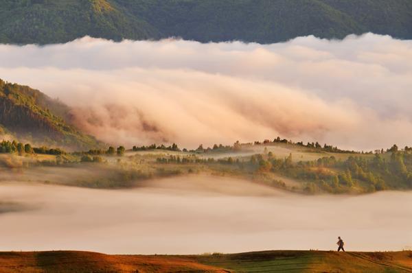 Cornel Pufan _8600_398