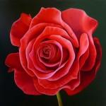 Photorealistic Paintings by Ellery Gutierrez