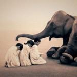 Harmony with Animals