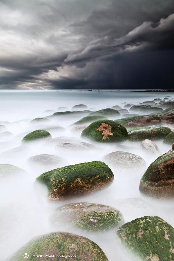 Jorge Maia _10600_900