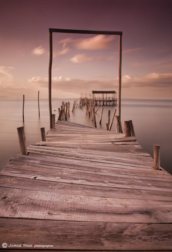 Jorge Maia _11600_882