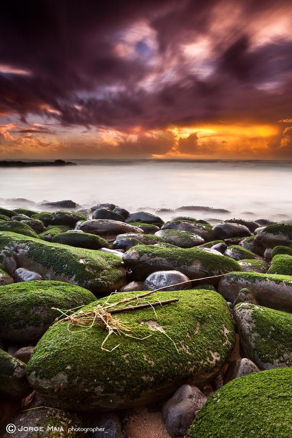 Jorge Maia _14600_900