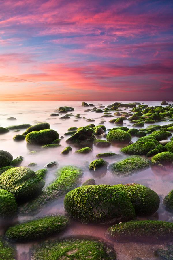 Jorge Maia _15600_900