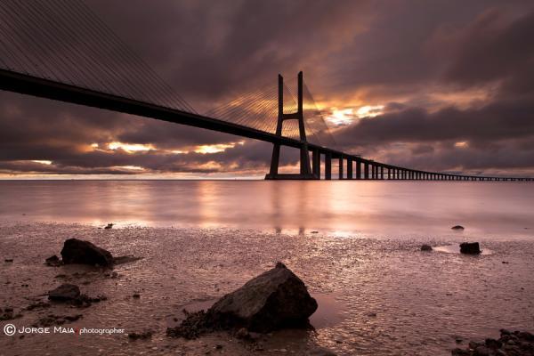 Jorge Maia _3600_400