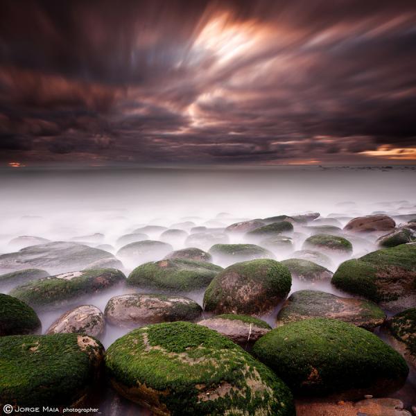 Jorge Maia _4600_600