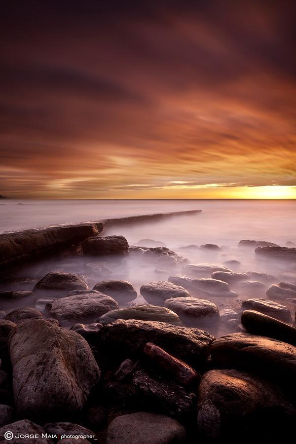 Jorge Maia _5600_900