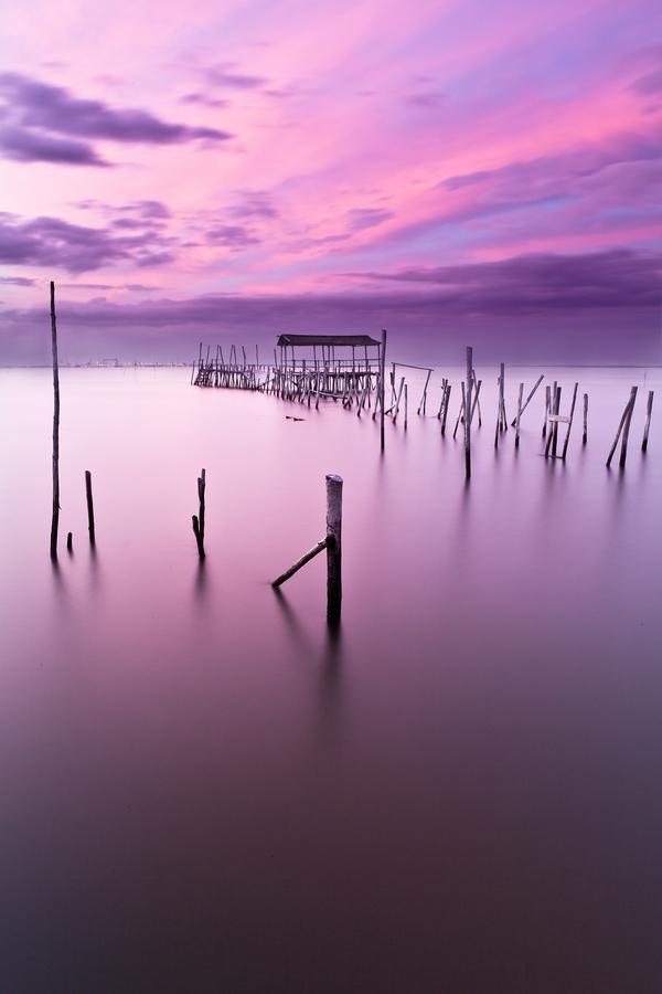 Jorge Maia _7600_900