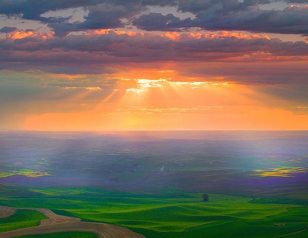 Kevin McNeal_10600_463