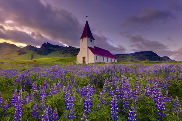 Kevin McNeal_1600_400