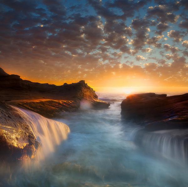 Kevin McNeal_4600_596