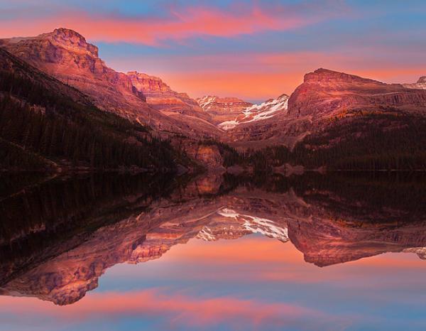 Kevin McNeal_9600_466