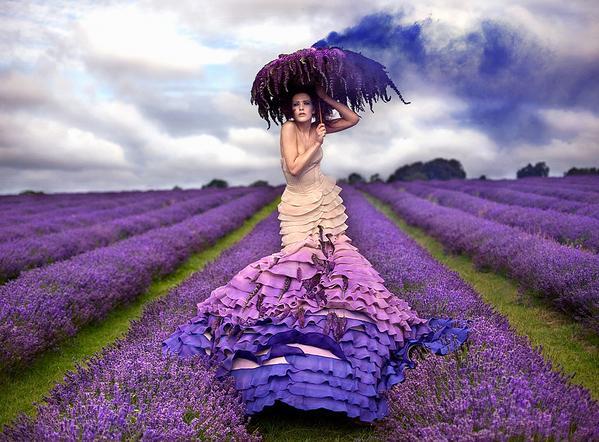 Kirsty Mitchell_1_599_442