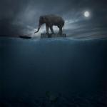 Surreal Photography by Leszek Bujnowski