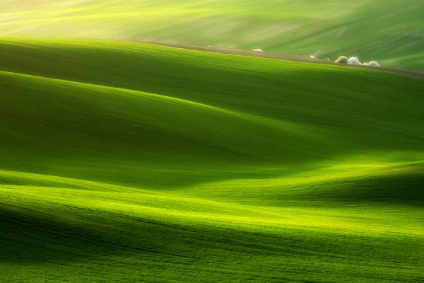 Marcin Sobas _12600_400