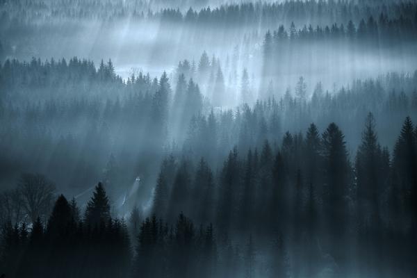 Marcin Sobas _15600_400