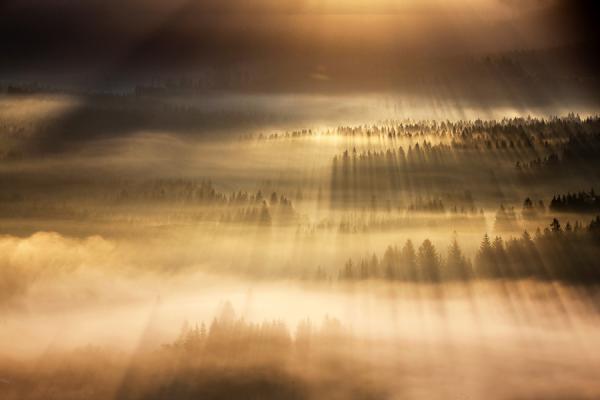 Marcin Sobas _1600_400