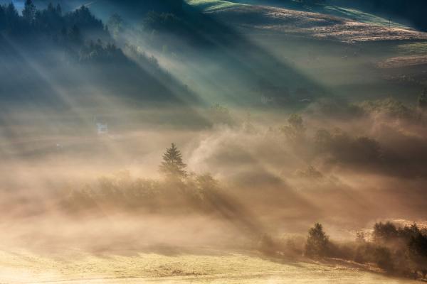 Marcin Sobas _16600_400