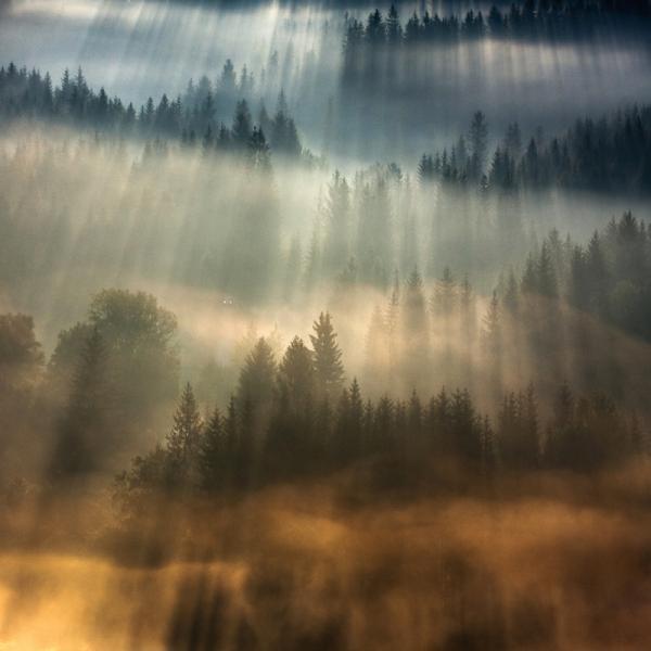 Marcin Sobas _18600_600