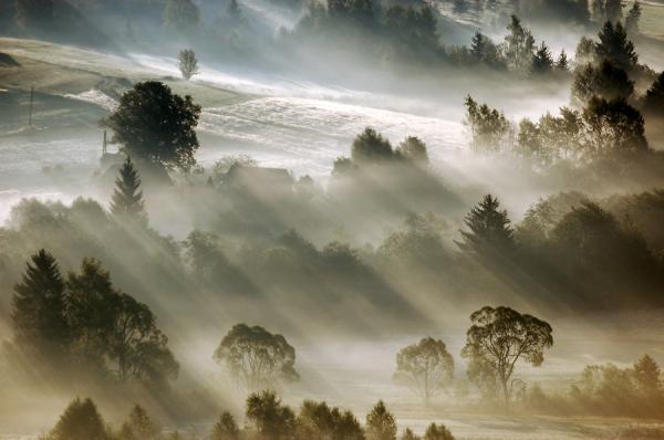 Marcin Sobas _19600_398
