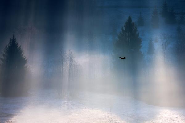 Marcin Sobas _21600_400