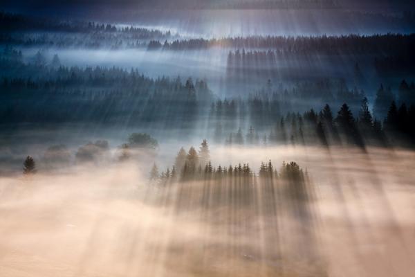 Marcin Sobas _23600_400