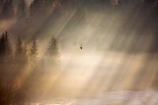 Marcin Sobas _25600_400