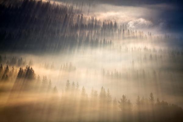 Marcin Sobas _27600_400