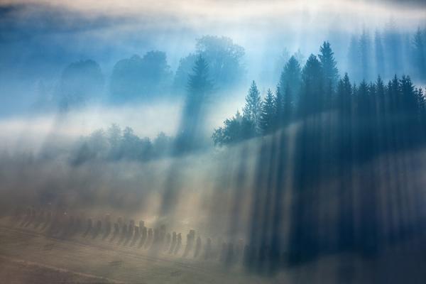 Marcin Sobas _3600_400
