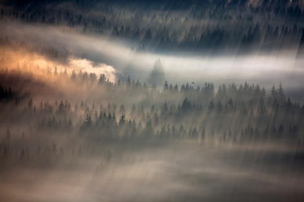 Marcin Sobas _5600_400