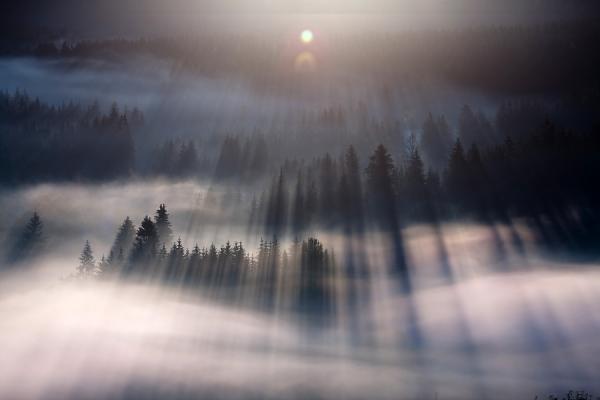 Marcin Sobas _7600_400