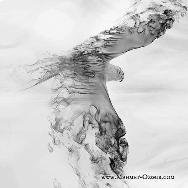 Mehmet Ozgur_8600_600