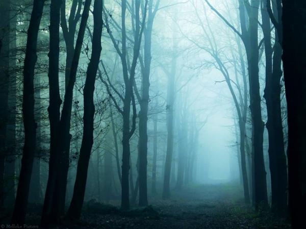 Nelleke Pieters_10600_449