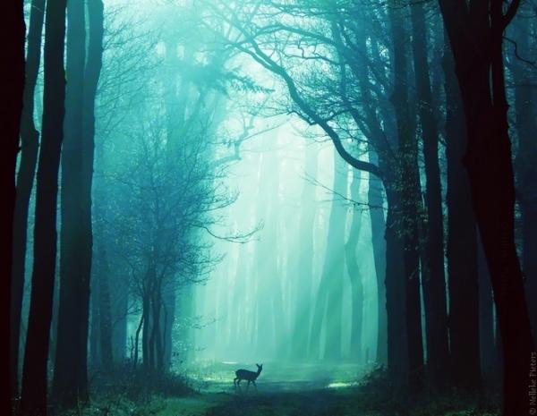 Nelleke Pieters_11600_465