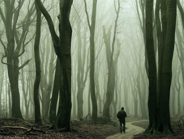 Nelleke Pieters_12600_453