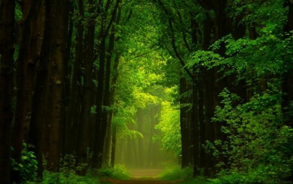Nelleke Pieters_14600_377