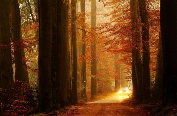 Nelleke Pieters_1600_395