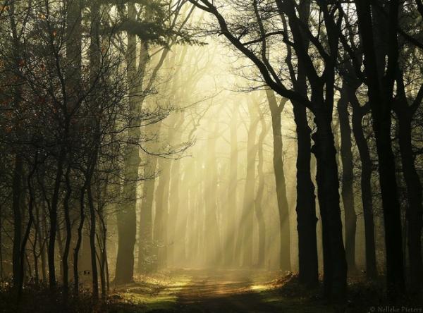 Nelleke Pieters_17600_444