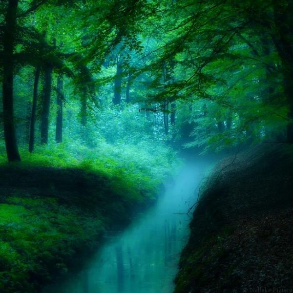 Nelleke Pieters_18600_600