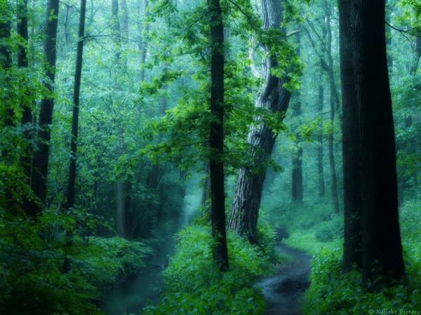 Nelleke Pieters_19600_449