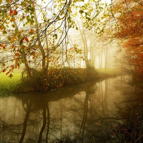 Nelleke Pieters_20600_600