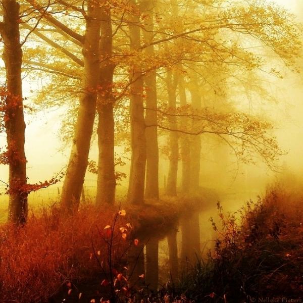 Nelleke Pieters_21600_600