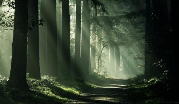 Nelleke Pieters_22600_348