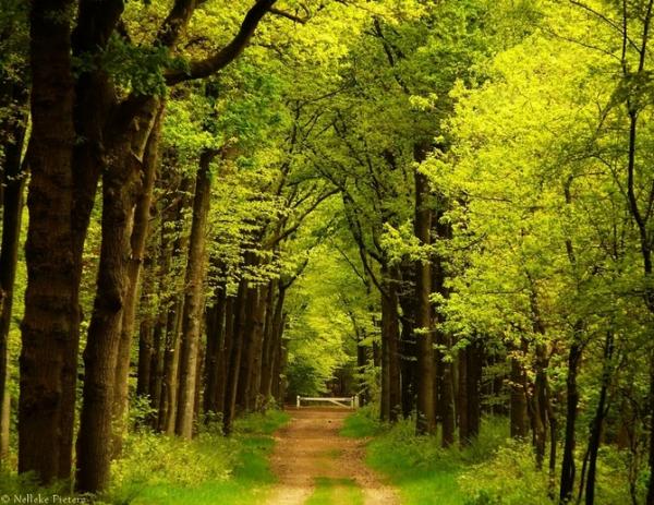 Nelleke Pieters_23600_463