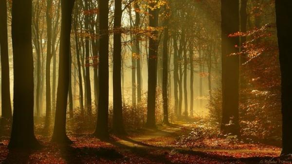 Nelleke Pieters_25600_338